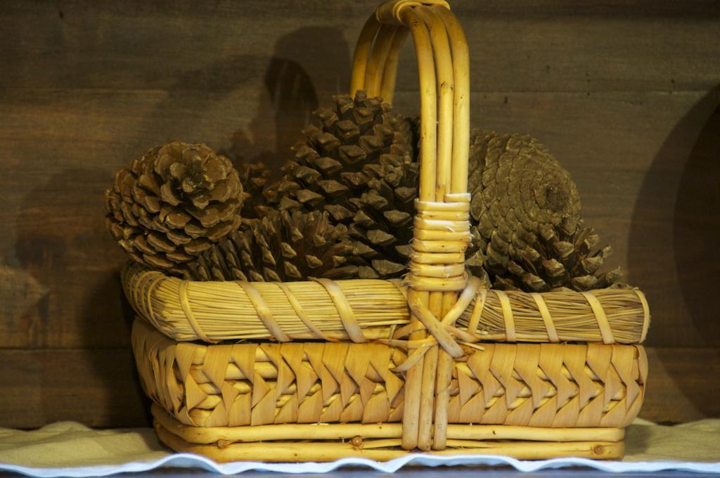 Albergue Los Blasones 사리아루고 외부 사진